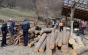 Peste 120 de percheziții, în Vrancea, la persoane bănuite de furt de energie electrică și evaziune fiscală în domeniul prelucrării de material lemnos