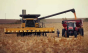 Politica groparului Agriculturii și a sprijinului pentru Ucraina: 200.000 de fermieri români intră în faliment