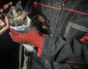 Poveste după cutremur: O pisică rănită a fost salvată de sub dărămăturile unui bloc din Izmir de un câine poliţist