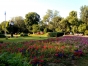 Primăria Capitalei vrea să reabiliteze Parcul Cișmigiu, valoarea lucrărilor fiind estimată la circa 10 milioane de euro