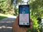  Producatorul Pokemon Go va lansa un joc similar bazat pe franciza Harry Potter