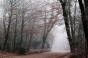 Prognoza meteo: Vremea rămâne răcoroasă sâmbătă, dar duminică va începe să se încălzească