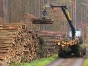 Proiect: Reducerea TVA de la 19% la 5% pentru lemnul de foc livrat către persoanele fizice