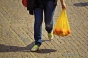 Pungile din plastic subtire, cu maner - interzise in Romania