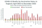 Raport secret din Marea Britanie: 9 din 10 decese Covid sunt in randul vaccinaților!

