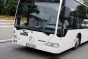 RATB introduce o linie specială pentru Târgul de Paști din Piața Constituției