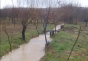 Risc de inundații în Muntenia, Oltenia și Banat