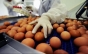 Scandalul ouălor contaminate cu insecticid se extinde: 17 state europene afectate