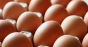 Scandalul ouălor contaminate încurajează producţia locală din ţările UE