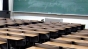 Schimbări majore în Educaţie. Ce alte materii ar putea fi studiate la liceu