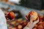 Se schimbă tot ce știau despre nutriție: Organismul nu poate absorbi fructoza? Un studiu arată ce efecte ar putea avea asupra sănătății
