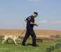 Sherlock Holmes al cainilor politisti din China a fost clonat