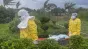 Situația scapă de sub control în Focarul de Ebola din Congo. Localnici furioși au dat foc unui centru de tratament
