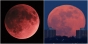 Superluna sange de lup, fenomenul care prevesteste sfarsitul lumii! Cand va aparea pe cer si de ce anunta Apocalipsa!