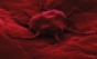 Teorie revoluţionară a oamenilor de ştiinţă: Cum apare cancerul