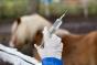 Trafic de ketamină prin cabinete veterinare și adăposturi pentru animale