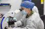 Trenduri noi în echiparea laboratoarelor: lame de microscop avansate, consumabile smart și automatizare pentru un laborator performant
