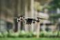 Ucraina lansează prima piață de arme din lume on-line în stil Amazon. Debutează cu drone, roboți și muniție