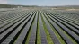 UE pregătește reducerea taxelor pentru energia regenerabilă, în încercarea de a scădea facturile la electricitate
