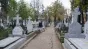 Un alt fel de pandemie: În Europa, între jumătatea lunii iunie şi jumătatea lunii august, au fost înregistrate peste 30.000 de decese în plus
