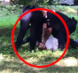 Un bărbat din Vatra Dornei a ajuns în comă la spital, după ce jandarmii l-au ținut minute bune la pământ și i-au pulverizat spray lacrimogen direct în față