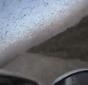 Un eveniment similar cu scrierile din Biblie, produs în Rusia: Invazia a milioane de insecte „ca una dintre cele 10 plăgi" VIDEO
