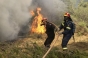 Un incendiu de vegetaţie ameninţă locuinţele de pe insula Kefalonia