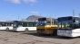 Un oraș întreg din România, paralizat de o greva spontană în transportul comun