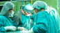 Un rinichi de porc a ținut în viață un pacient timp de 271 de zile. Recordul care poate schimba viitorul transplanturilor

