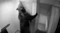 Un urs a intrat într-un hotel din Poiana Brașov. Angajații spun că au stat de pază toată noaptea
