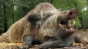 Vânarea mistreţilor şi a prădătorilor poate extinde focarele de pestă porcină