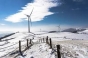 Vijelia a avut și o parte bună: energia eoliană a asigurat sâmbătă 27% din consum, locul doi in Europa