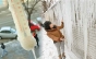 Vine gerul! Duminică vor fi minus 10 grade la prânz