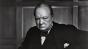 Winston Churchill - simplu și eficient: "Îmi plac porcii. Câinii ne privesc cu admirație. Pisicile ne privesc de sus. Porcii ne tratează ca pe egali!"
