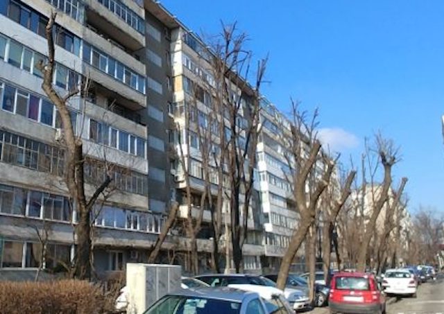ADP4 care a dat pacientul care a infectat cu coronavirus Spitalul Gerota a inceput operatiunea corona-arborilor, masacrand pomii. Copacii vor fi bolnavi, iar poluarea mai mare!