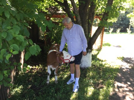 Adrian Năstase a intrat în campanie. Pentru ce luptă, cu ironie!