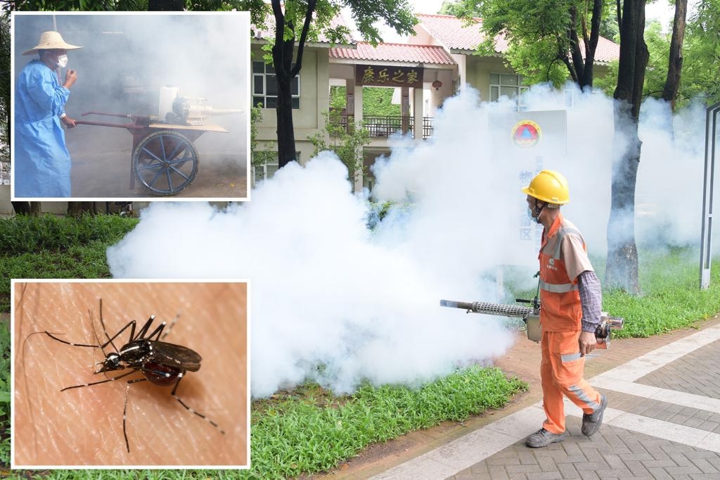 Alertă epidemică globală. Virusul chikungunya se răspândește rapid din China în alte țări