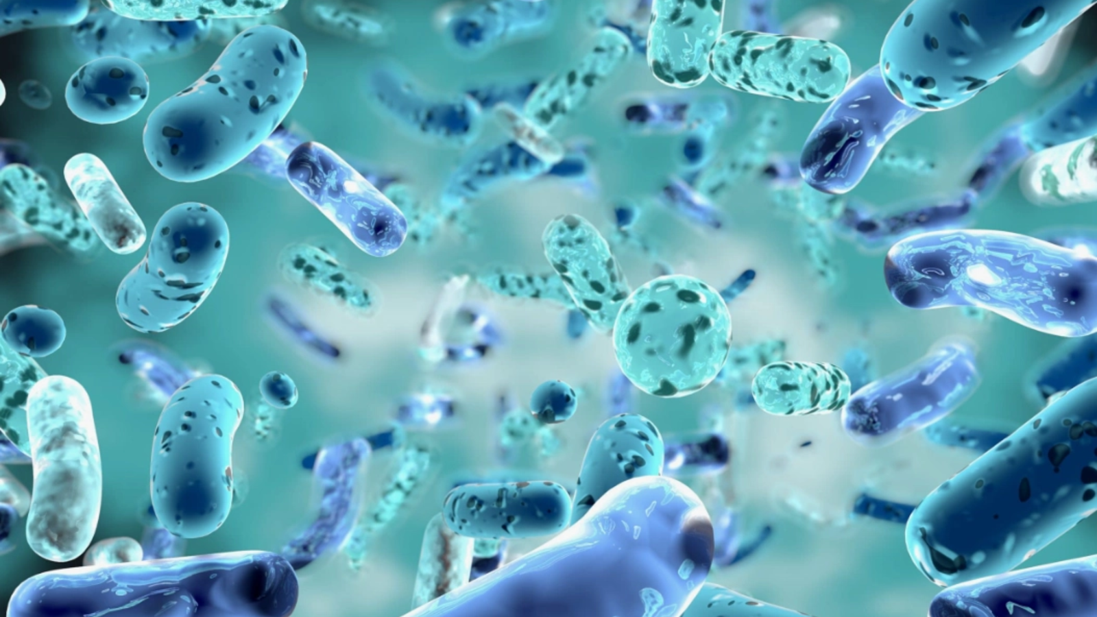 Alertă pentru cei care merg la plajă: o bacterie periculoasă se extinde în Europa
