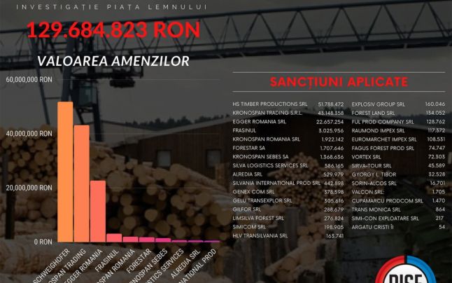 Amenzi de 25 milioane de euro pentru Holzindustrie Schweighofer, Kronospan şi Egger