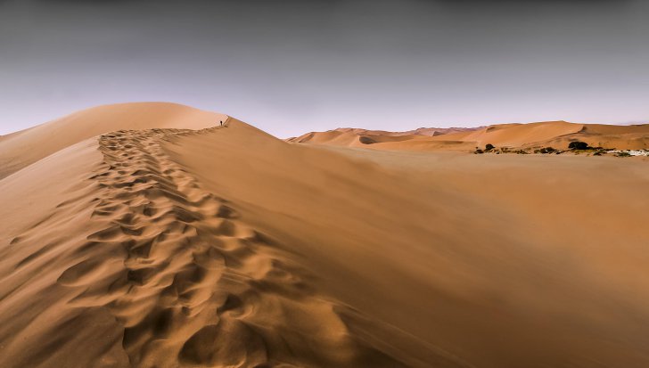Avertisment îngrijorator. Ce se întâmplă cu Europa dacă temperatura creşte cu 2 grade