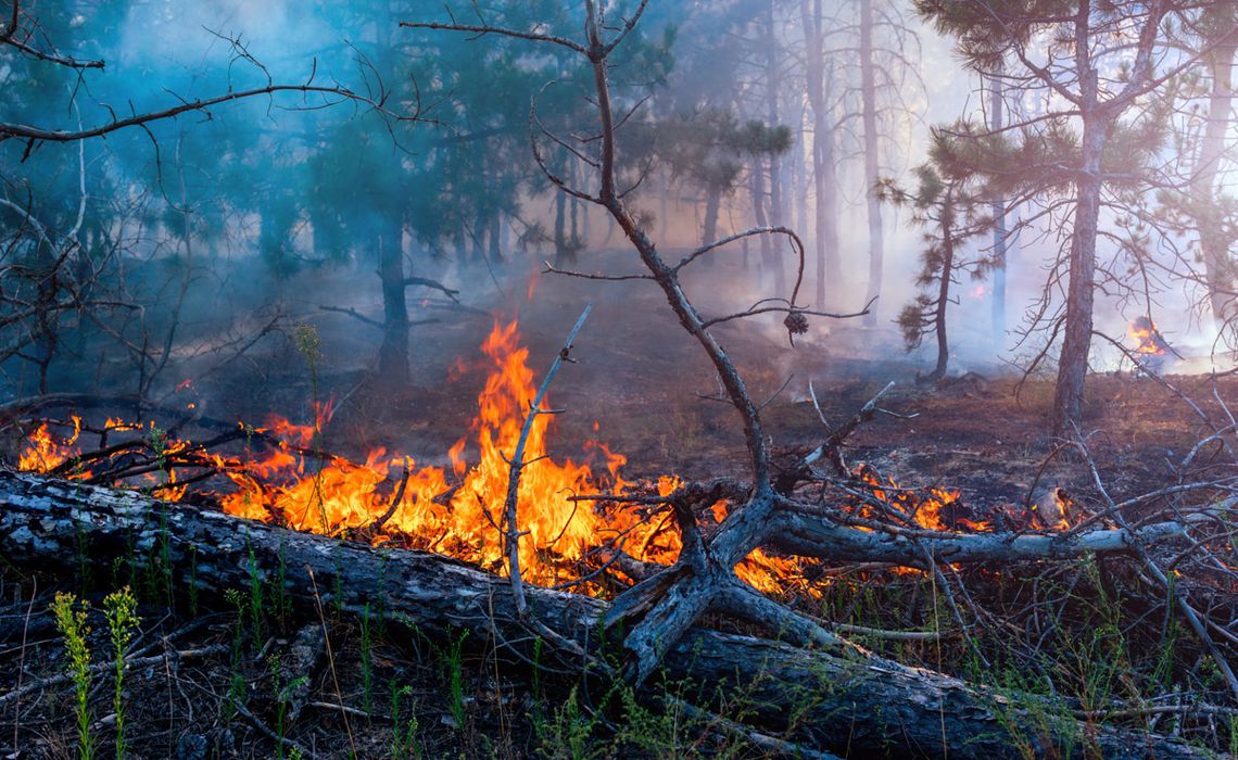 Avertizare de la MAE pentru turiștii care pleacă în Grecia! Risc mare de incendiu! Care sunt zonele