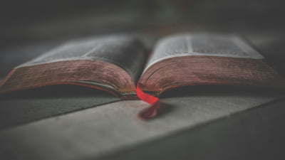 Biblia, Coranul, Tora. Ce spun cele trei cărți fundamentale ale principalelor religii monoteiste ale lumii despre război