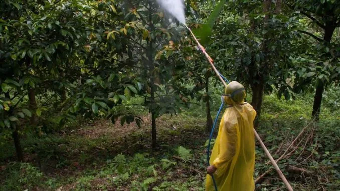 Bill Gates a dat undă verde pentru a pulveriza în secret ADN sintetic pe produsele alimentare din fermele sale