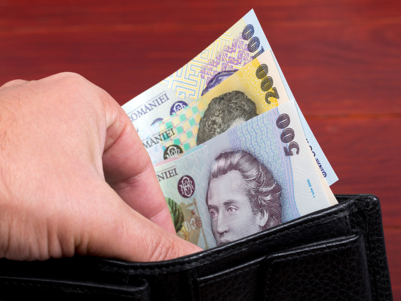 BNR vrea să afle cât de bogați sunt românii și ce consumă. Studiul pentru care plătește peste 4,4 milioane de lei
