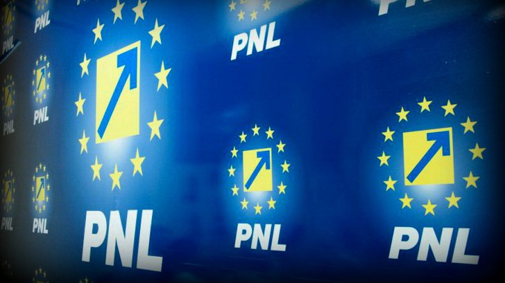 Bușoi și Orban își depun candidaturile. Cataramă mai caută semnături