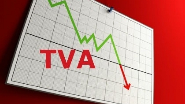 Bugetul de stat a pierdut anul trecut 8,3 miliarde de euro, reprezentând TVA neîncasat