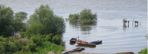 Bulgarii au găsit în Dunăre cadavrele a doi migranţi care încercau să treacă în România