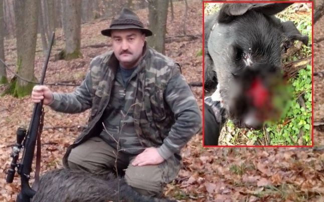 Câine ucis cu sălbăticie de un poliţist. El s-a ales cu dosar penal