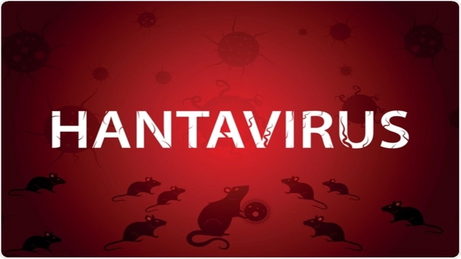 Cât de îngrijoraţi ar trebui să fim în privinţa hantavirusului - OMS: 