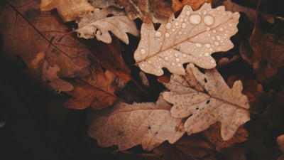 Cât vor dura frigul și ploile. Prognoza meteo actualizată până la început de noiembrie